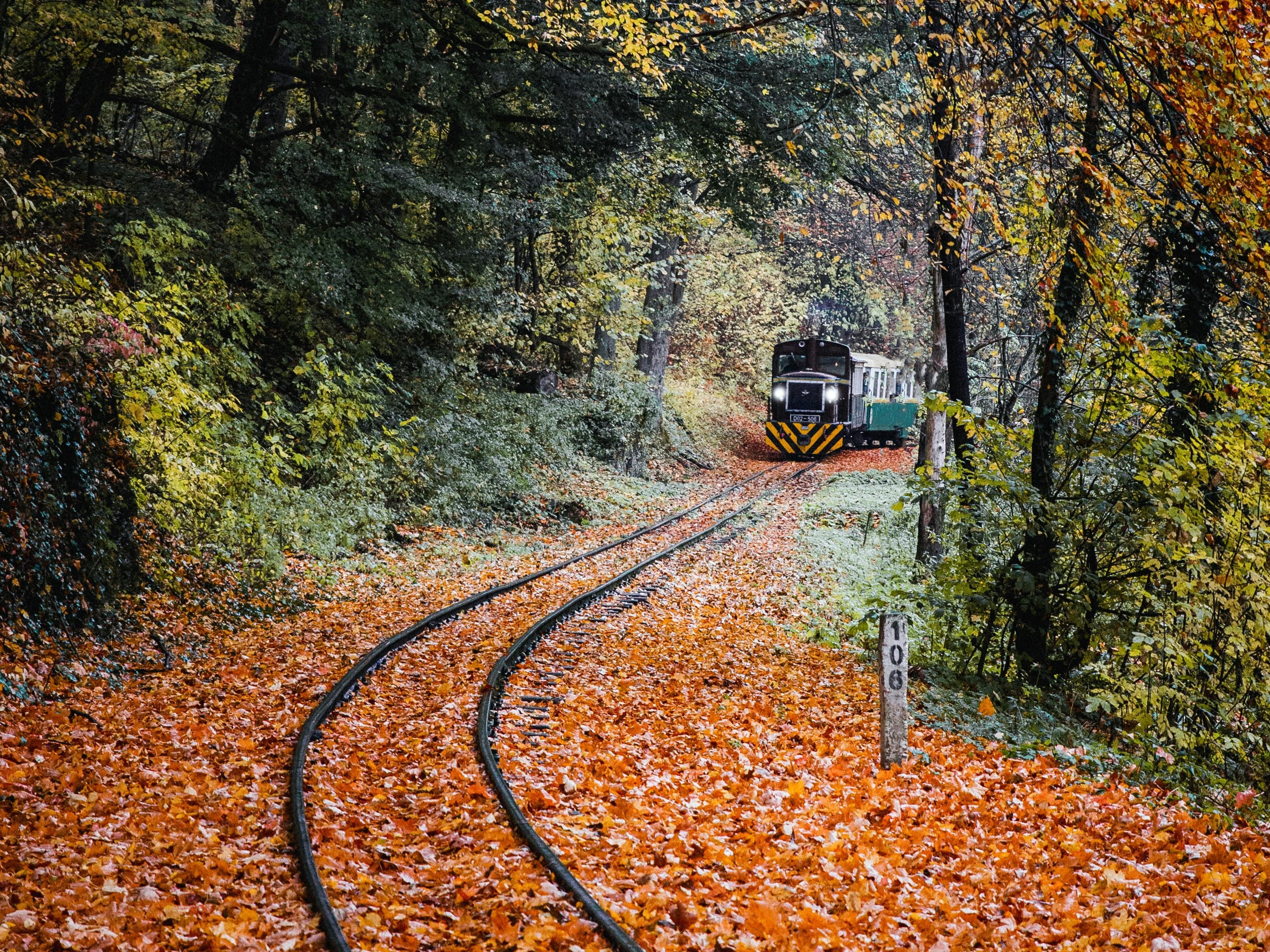 9g6hf5io_train_295x200_11_Marc