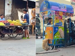 इन्फ्लुएंसर ने किया ठेले वालों का लॉयल्टी चेक, Video में देखें पैसे लेने के नाम पर दुकानदारों ने क्या कहा इन्फ्लुएंसर ने किया ठेले वालों का लॉयल्टी चेक, Video में देखें पैसे लेने के नाम पर दुकानदारों ने क्या कहा