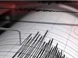 Magnitude 3.8 Earthquake Hits Maharashtra's Nashik