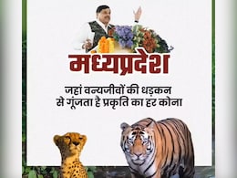 International Day of Forests 2025: बाघ और तेंदुआ स्टेट एमपी ने देश के सबसे अधिक वन आवरण को संजोया, जानिए क्या कहते हैं आंकड़े International Day of Forests 2025: बाघ और तेंदुआ स्टेट एमपी ने देश के सबसे अधिक वन आवरण को संजोया, जानिए क्या कहते हैं आंकड़े