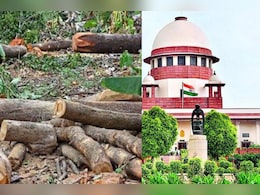 इंसानों को काटने जैसा है... जब सुप्रीम कोर्ट ने पेड़ों की कटाई पर कही दिल छू लेने वाली बात