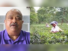तीसरा सबसे बड़ा चाय निर्यातक बना भारत, 2024 में हुई 7,111 करोड़ रुपये की आय