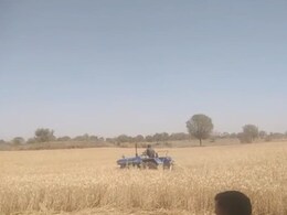 कोटपूतली-बहरोड़ में प्रशासन ने सैकड़ों बीघा चारागाह भूमि से हटाया अतिक्रमण, 11 बीघा जमीन से खड़ी गेहूं की फसल को किया साफ