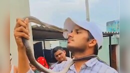 Snake: जहरीले सांपों से राजस्&zwj;थान के इस शख्स की है गहरी दोस्ती, क&zwj;िरोड़ी लाल मीणा भी इसके फैन&nbsp;