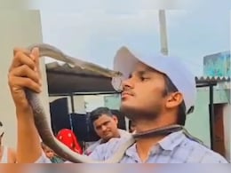Snake: जहरीले सांपों से राजस्‍थान के इस शख्स की है गहरी दोस्ती, क‍िरोड़ी लाल मीणा भी इसके फैन 