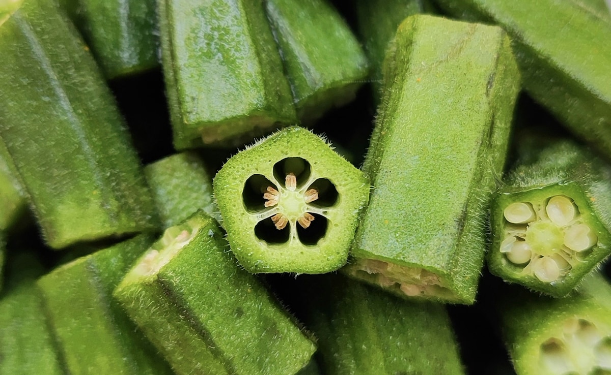 Latest and Breaking News on NDTV Latest and Breaking News on NDTV