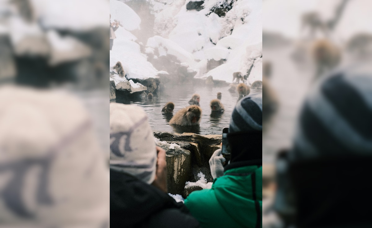 Latest and Breaking News on NDTV Latest and Breaking News on NDTV