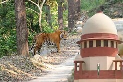 Supreme Court Slams Uttarakhand Government Over Illegal Construction In Jim Corbett Supreme Court Slams Uttarakhand Government Over Illegal Construction In Jim Corbett