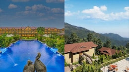 Mayfair Tea Resort To Taj Chia Kutir, 10 Indian Resorts With Surreal Tea-Estate Views