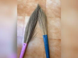 नई झाड़ू से महीनों तक निकलती है भुसी, 5 मिनट की ये ट्रिक मिनटों में सब गंदगी कर देगी साफ नई झाड़ू से महीनों तक निकलती है भुसी, 5 मिनट की ये ट्रिक मिनटों में सब गंदगी कर देगी साफ