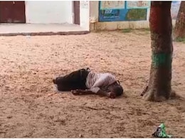 Rajasthan: शराब पीकर स्कूल में सो गया सरकारी टीचर, वीडियो वायरल होने पर गिरी गाज Rajasthan: शराब पीकर स्कूल में सो गया सरकारी टीचर, वीडियो वायरल होने पर गिरी गाज