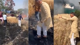 गेहूं की फसल में लगी आग, बुझाने खेत में कूदे मंत्री इंदर सिंह परमार, पीड़ित किसान से की मुलाकात