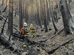 Rain Halts Spread Of Japan's Worst Wildfire In More Than 50 Years