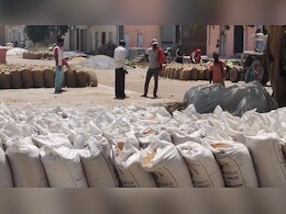 Rajasthan: गेहूं की खरीद के मापदंड में बदलाव, कई किसान बोले- गिरदावरी के अभाव में कम दामों पर बेचनी होगी फसल Rajasthan: गेहूं की खरीद के मापदंड में बदलाव, कई किसान बोले- गिरदावरी के अभाव में कम दामों पर बेचनी होगी फसल