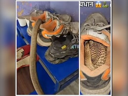 पहनने के लिए उठाए जूते...तभी अंदर से फुफकारते हुए फन फैलाकर निकला कोबरा, वीडियो देख फटी रह जाएंगी आंखें पहनने के लिए उठाए जूते...तभी अंदर से फुफकारते हुए फन फैलाकर निकला कोबरा, वीडियो देख फटी रह जाएंगी आंखें