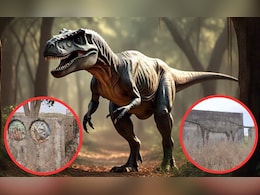 Dinosaur National Park: एमपी के इस जिले में रहते थे विशालकाय डायनासोर, फुटप्रिंट और करोड़ों साल पुराने अंडे आज भी हैं मौजूद Dinosaur National Park: एमपी के इस जिले में रहते थे विशालकाय डायनासोर, फुटप्रिंट और करोड़ों साल पुराने अंडे आज भी हैं मौजूद