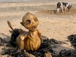 यूके के Beach पर दिखी डरावनी चीज़, कंकाल जैसा ऊपरी हिस्सा और जलपरी जैसा शरीर, लोगों को हैरान कर रही ये वायरल तस्वीर यूके के Beach पर दिखी डरावनी चीज़, कंकाल जैसा ऊपरी हिस्सा और जलपरी जैसा शरीर, लोगों को हैरान कर रही ये वायरल तस्वीर
