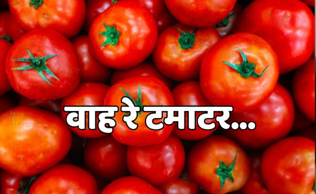 Latest and Breaking News on NDTV Latest and Breaking News on NDTV