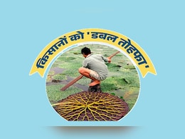 बिहार के बाद अब छत्तीसगढ़ में यहां के किसान करेंगे मखाना की खेती, धान से दोगुना मुनाफा! बिहार के बाद अब छत्तीसगढ़ में यहां के किसान करेंगे मखाना की खेती, धान से दोगुना मुनाफा!