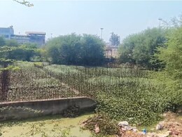 ऐतिहासिक बूढ़ा सागर तालाब बना कचरा घर, 6 साल बाद भी अधूरा पड़ा है एसटीपी प्लांट का काम