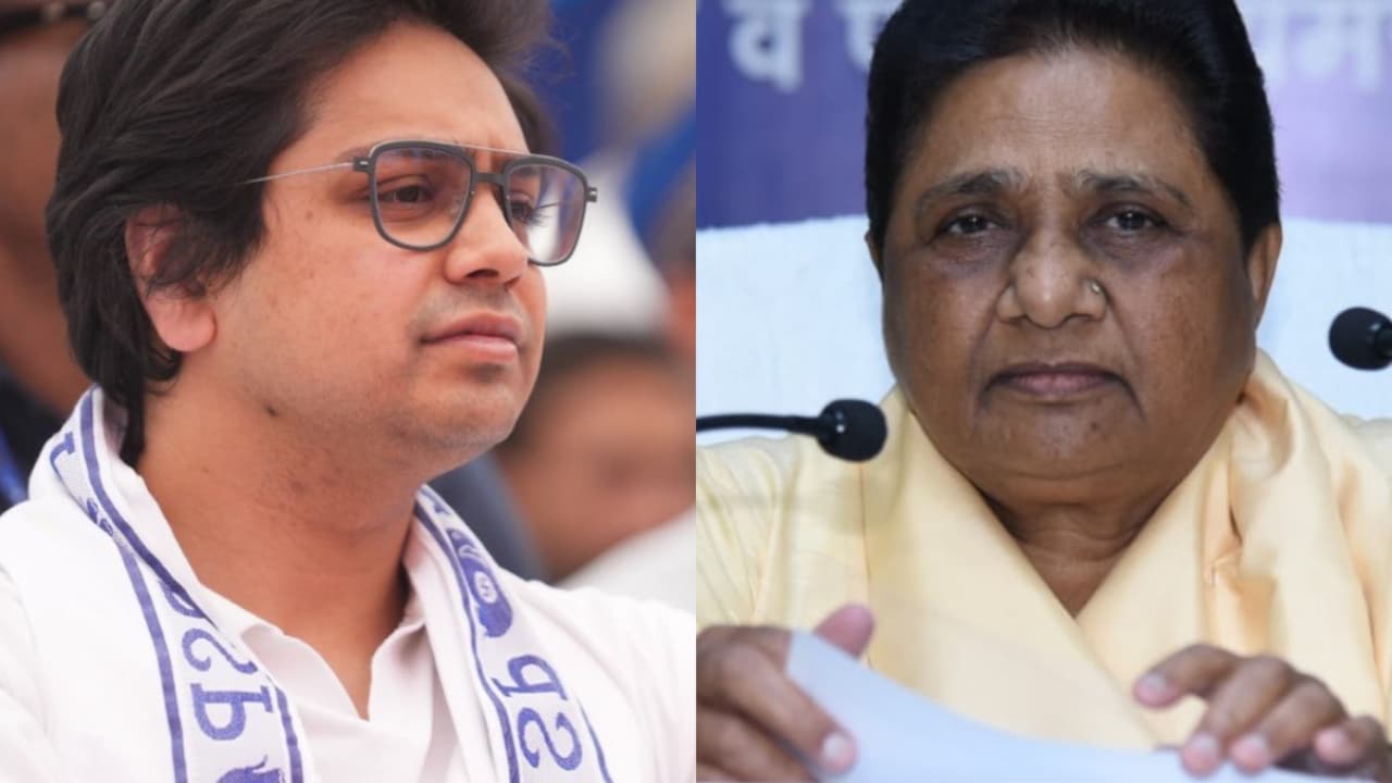 बसपा में फिर कलह, मायावती ने अशोक सिद्धार्थ को पार्टी से दोबारा निकाला, आकाश के भी कतरे पर