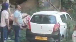 Over 6 Killed After Strong Winds Uproot Tree In Himachal Tourist Area