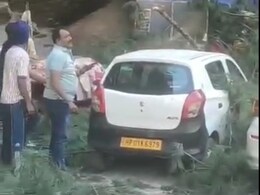 Over 6 Killed After Strong Winds Uproot Tree In Himachal Tourist Area Over 6 Killed After Strong Winds Uproot Tree In Himachal Tourist Area