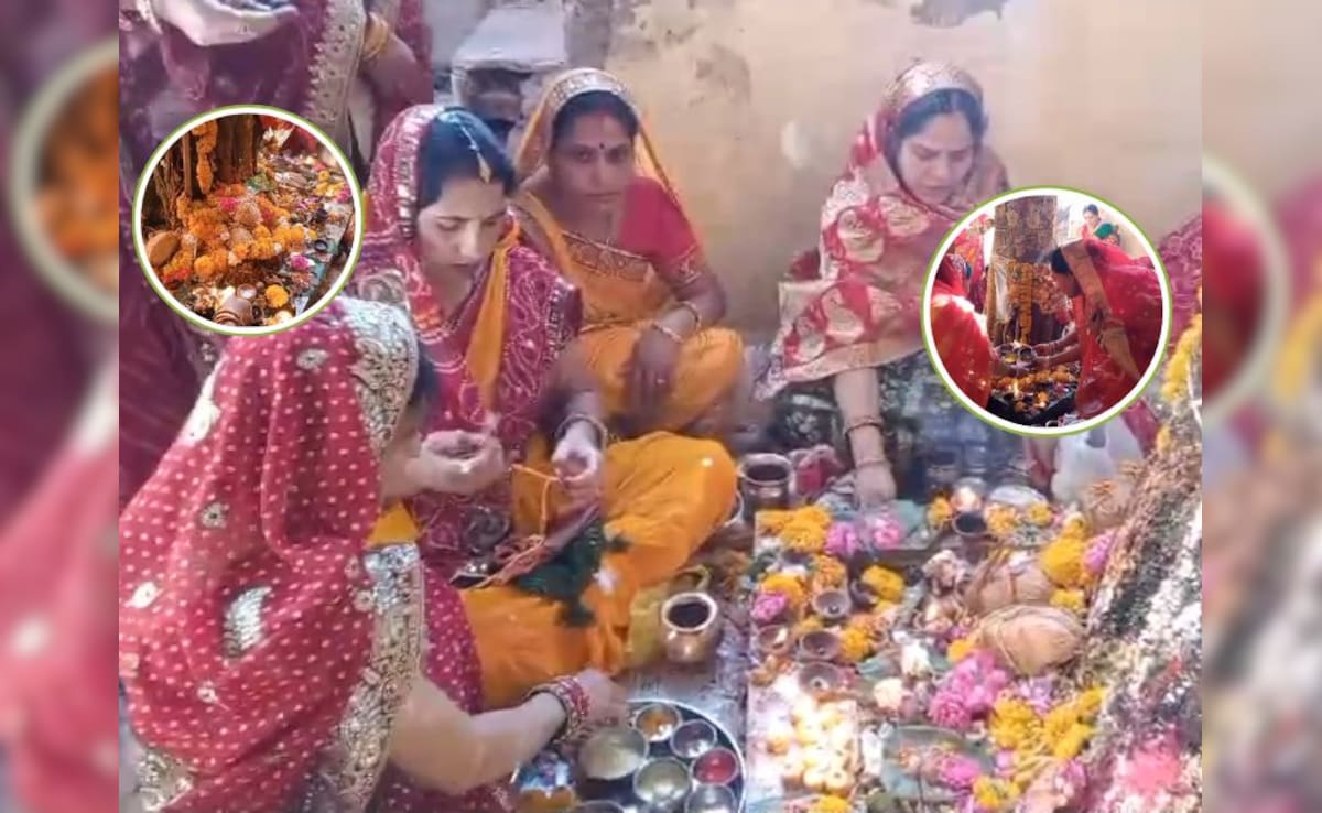 Latest and Breaking News on NDTV