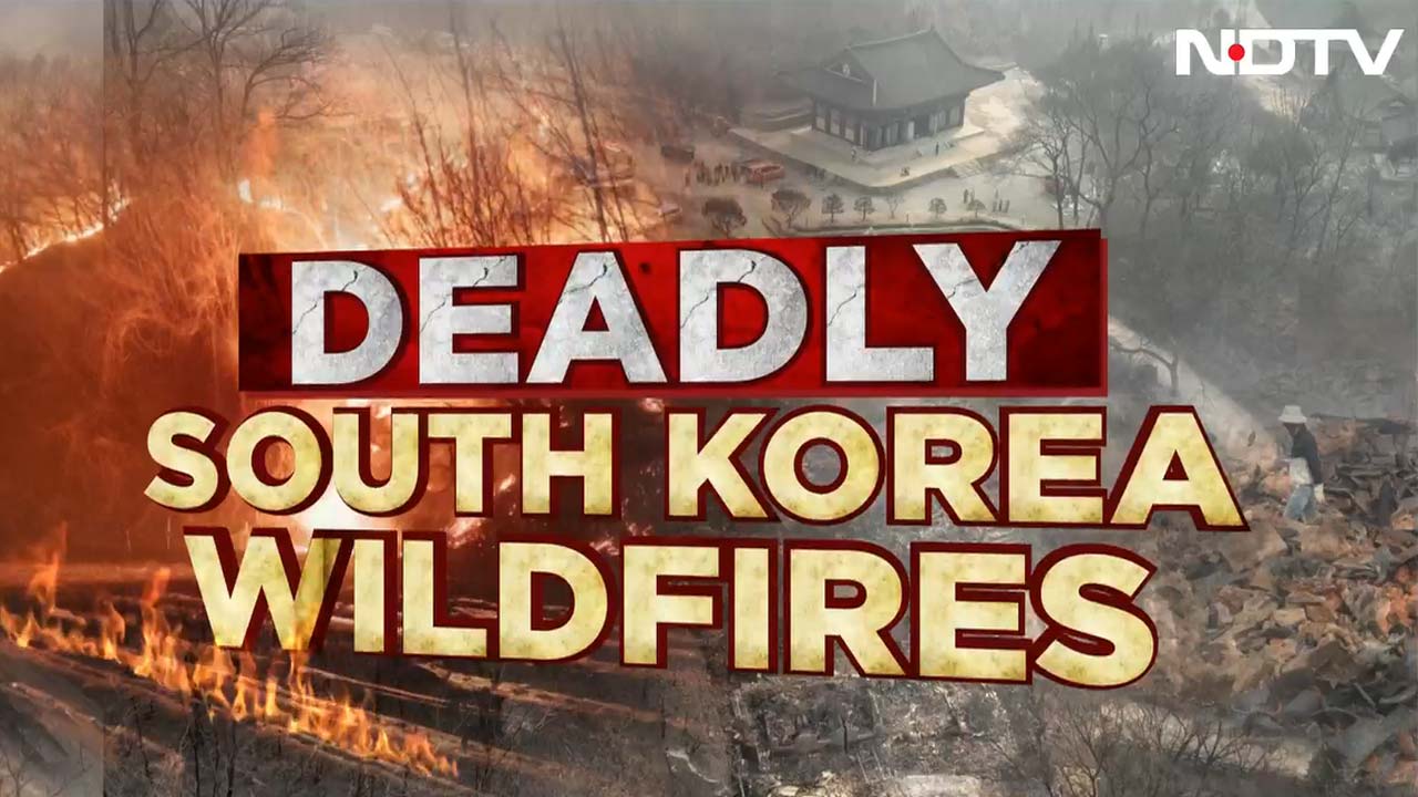 24 Dead, Over 40,000 Acres Burning: South Korea's 'Worst-Ever' Wildfires