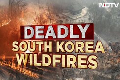 24 Dead, Over 40,000 Acres Burning: South Korea's 'Worst-Ever' Wildfires 24 Dead, Over 40,000 Acres Burning: South Korea's 'Worst-Ever' Wildfires