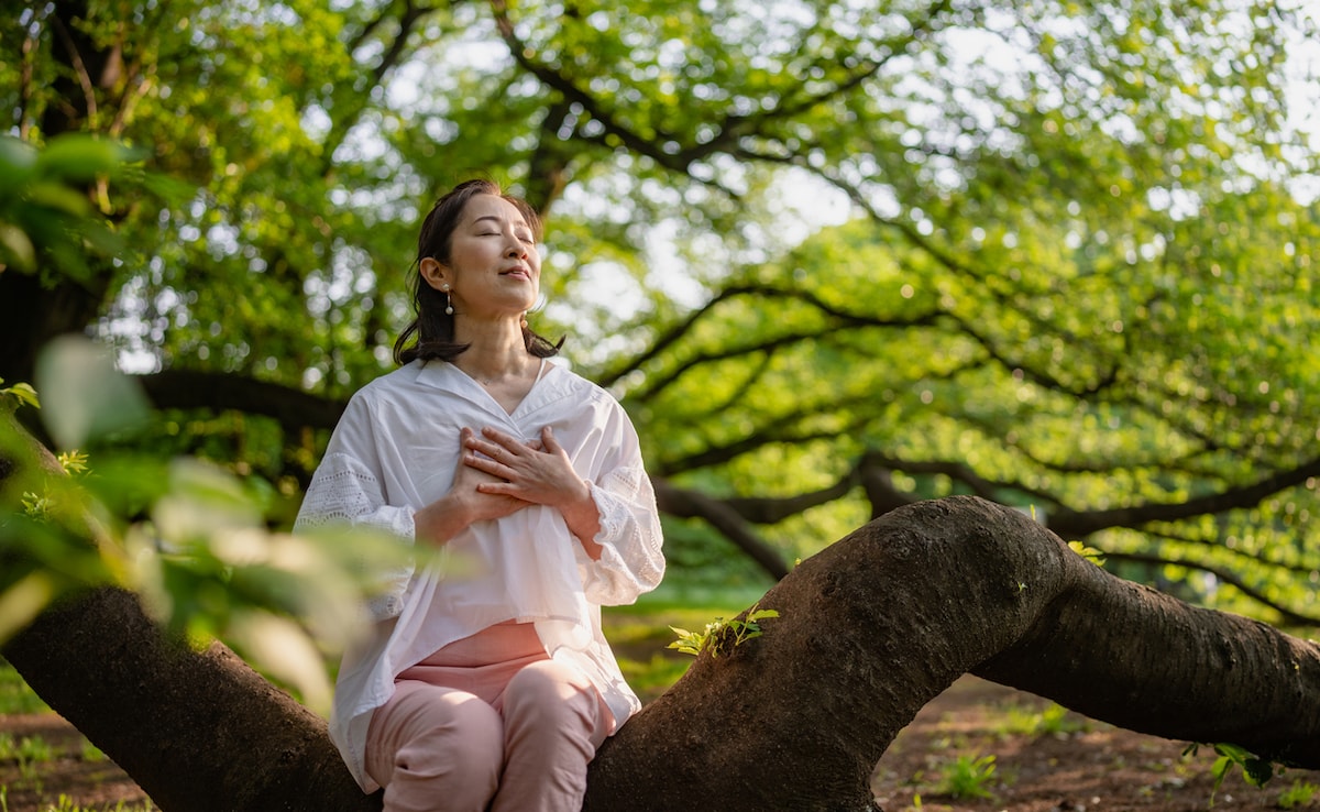 Holi е всички забавни и игри докато не оставите да
