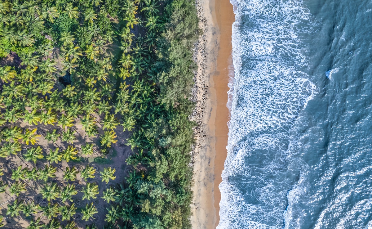 бреговата ивица на Индия се простира над 7 500 км