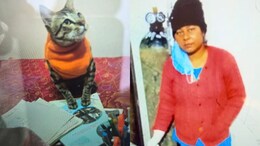 UP Woman's Cat Dies, She Keeps Body For 2 Days, Then Kills Herself