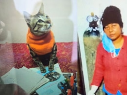 UP Woman's Cat Dies, She Keeps Body For 2 Days, Then Kills Herself UP Woman's Cat Dies, She Keeps Body For 2 Days, Then Kills Herself