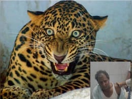 प्यासे तेंदुए ने किया किसान पर हमला, ग्रामीणों में मचा खौफ, क्या वन विभाग की लापरवाही है ? प्यासे तेंदुए ने किया किसान पर हमला, ग्रामीणों में मचा खौफ, क्या वन विभाग की लापरवाही है ?