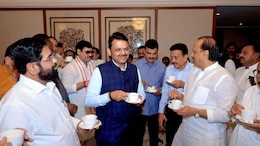 Mahayuti News: भाईंचा दादांना टोला, दादांनी तिथेच हिशोब केला, फडणवीसांसमोर काय घडलं?