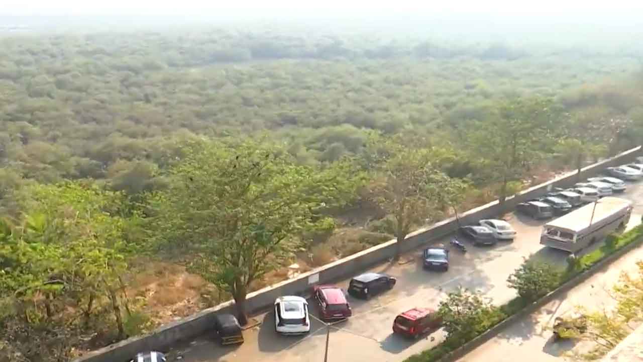 Residents Protest Against Tree Felling For Mumbai Coastal Road Project