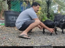 ये है दुनिया की सबसे छोटी बकरी, गिनीज बुक में दर्ज हुआ नाम, साइज जान रहे जाएंगे दंग ये है दुनिया की सबसे छोटी बकरी, गिनीज बुक में दर्ज हुआ नाम, साइज जान रहे जाएंगे दंग