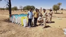 बीकानेर पुलिस की बड़ी ड्रग्स के खिलाफ बड़ी कर्रवाई, 50 लाख का 10 क्विंटल से अधिक डोडा पोस्त जब्त