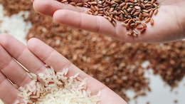 Is White Rice Better For You Than Brown Rice?