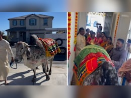 अमेरिका में भारतीय परिवार ने लिया नया घर, गौमाता संग किया गृह प्रवेश, ऐसे निभाई परंपरा दिल छू गया VIDEO अमेरिका में भारतीय परिवार ने लिया नया घर, गौमाता संग किया गृह प्रवेश, ऐसे निभाई परंपरा दिल छू गया VIDEO