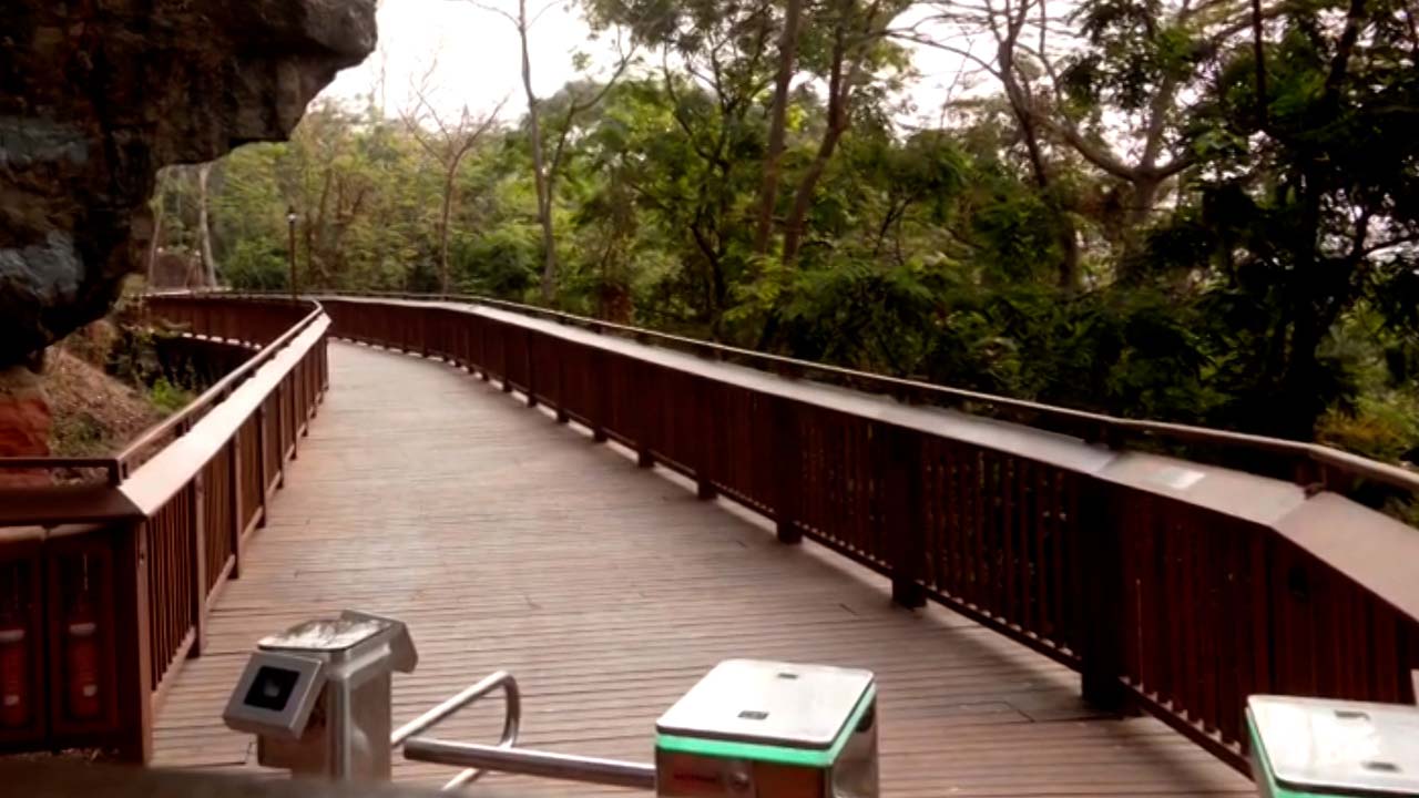 Mumbai's New Forest Walkway To Open Today, Malabar Hill's Own Nature Trail