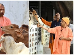 10 गाय पालने पर 10 लाख का लोन, योगी सरकार की प्राकृतिक खेती को लेकर गजब की प्‍लानिंग