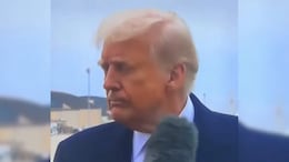"She Made Television Tonight": Trump As Reporter Bumps Mic Into His Face