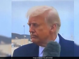 "She Made Television Tonight": Trump As Reporter Bumps Mic Into His Face