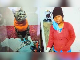 पालतू बिल्ली की मौत का सदमा! 3 दिन तक शव के साथ घर में रही, फिर खुद लगा ली फांसी