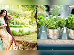 इन हर्ब्स के इस्तेमाल से आपकी हेयर ग्रोथ हो सकती है दोगुनी, कमर के नीचे तक लहराएंगे आपके बाल इन हर्ब्स के इस्तेमाल से आपकी हेयर ग्रोथ हो सकती है दोगुनी, कमर के नीचे तक लहराएंगे आपके बाल