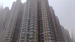 Panvel News: 29 व्या मजल्यावरून 8 वर्षाच्या लेकीला फेकले, अन् आईने ही पुढे भयंकर पाऊल उचलले