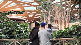 Inside Sonam Kapoor's Zoo Zurich Visit With Anand Ahuja And Son Vayu