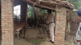 Mauganj Violence Update: हिंसा के बाद अब मऊगंज हुआ सुनसान, घरों में बंधे बेजुबानों को खाने के पड़े लाले, तो पुलिस वाले बने सेवक